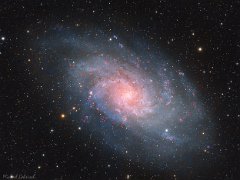 M33