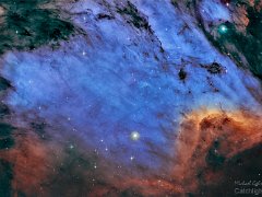 Pelican Nebula