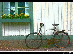 bicycle farhult  Bicycle in Farhult